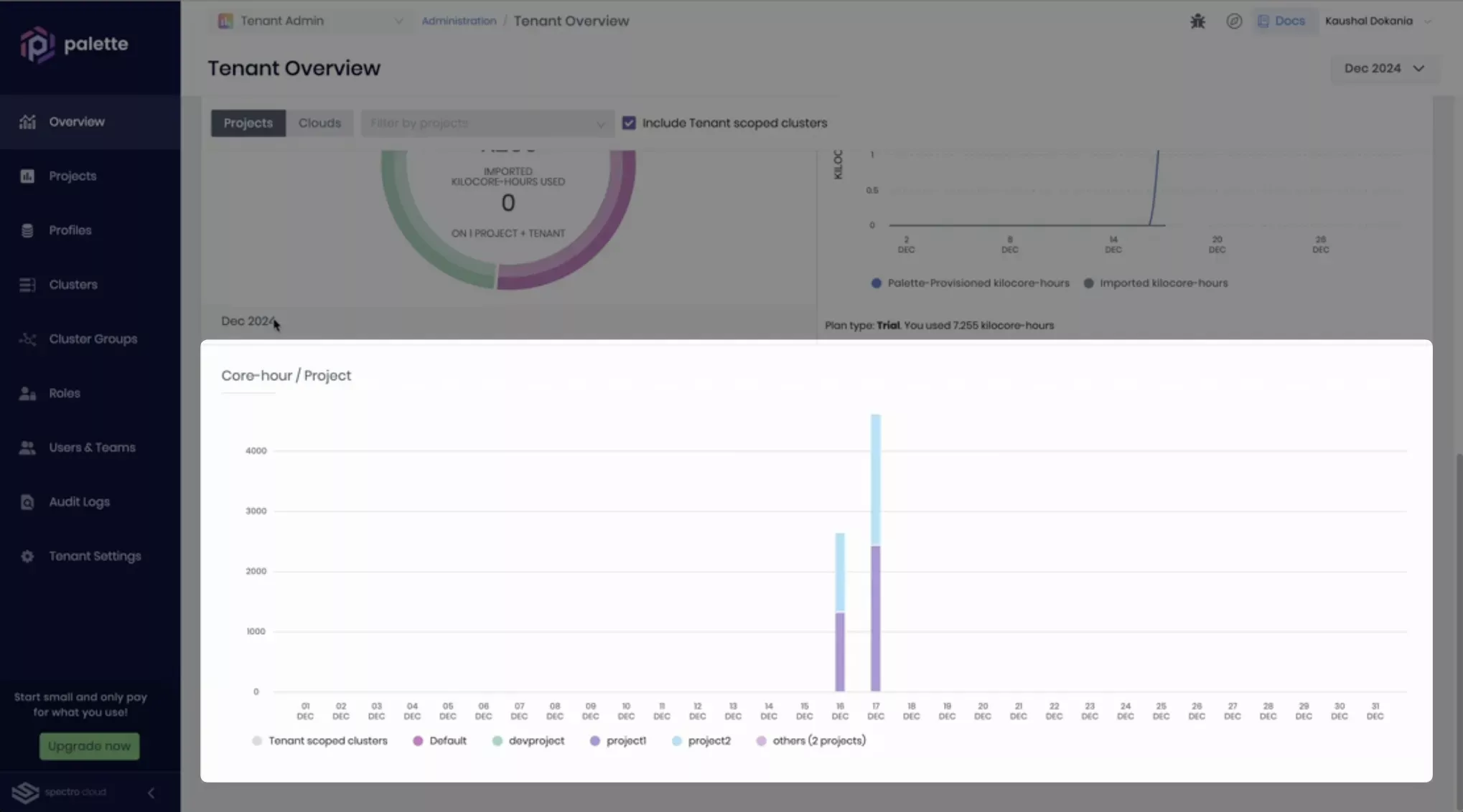 Palette interface of Tenant Overview page with the resource usage chart highlighted.