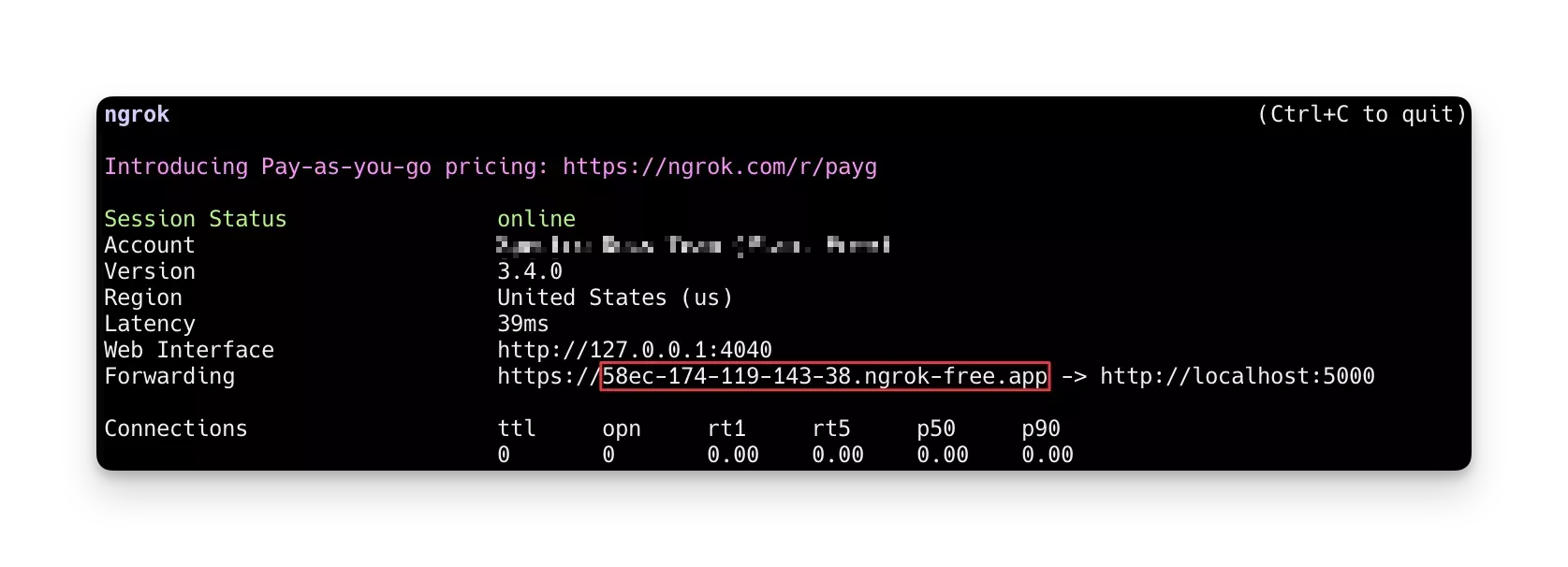 Screenshot of registry server exposed via ngrok
